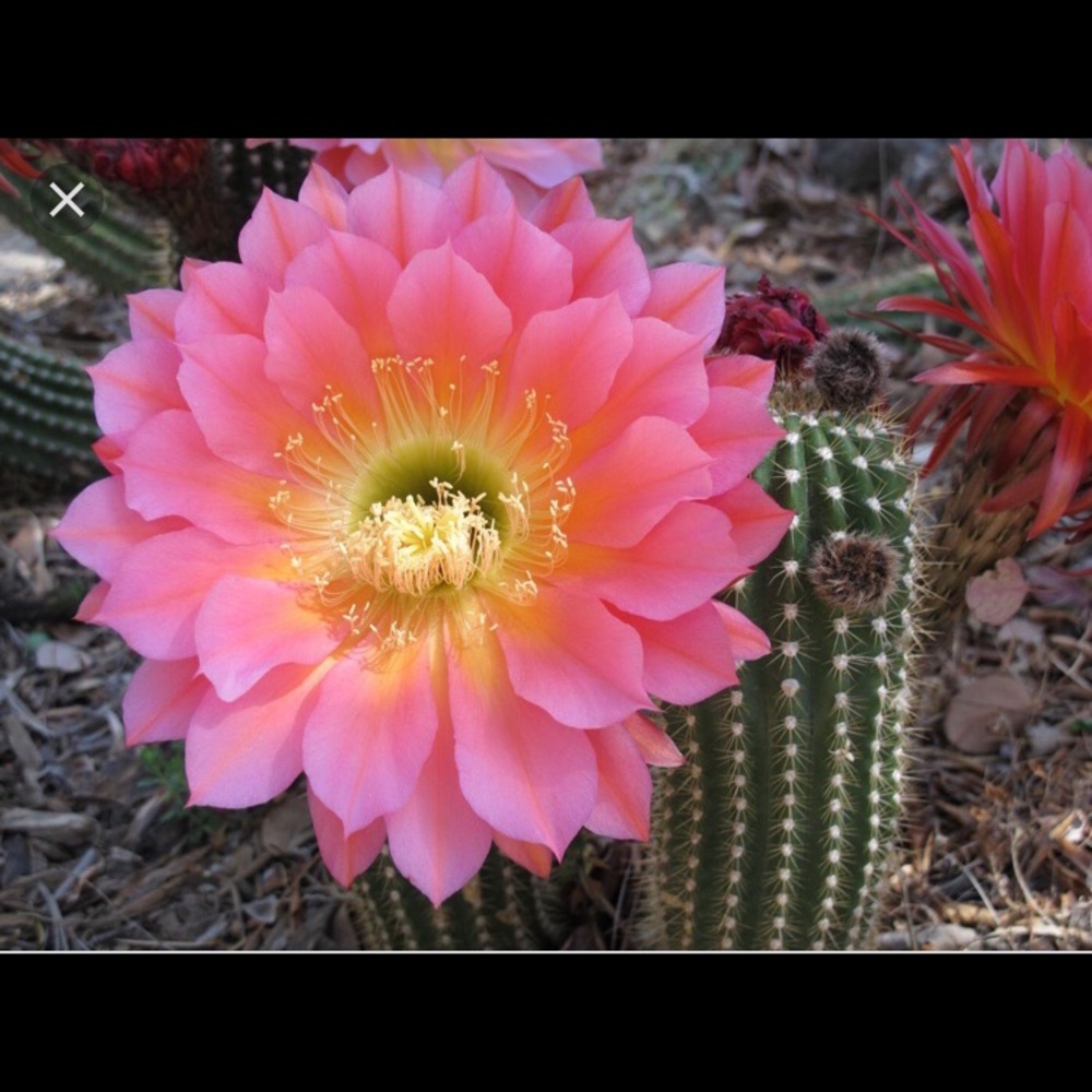 Meet your Posher, Mary